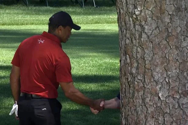 Tiger Woods shaking hands with unseen person behind a large tree on golf course.