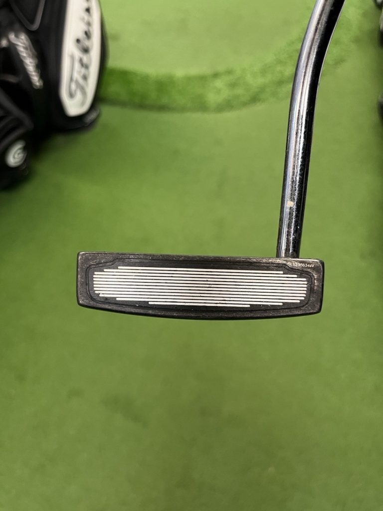 Ping-Scottsdale-TR-Senita-B-Mallet-Putter-357450842271