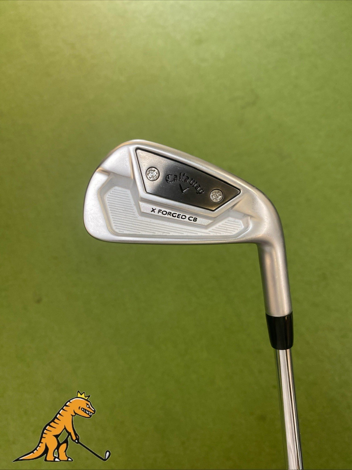 Tour Issue Callaway X Forged CB ‘21 5 Iron Dynamic Gold 120g X100 Steel