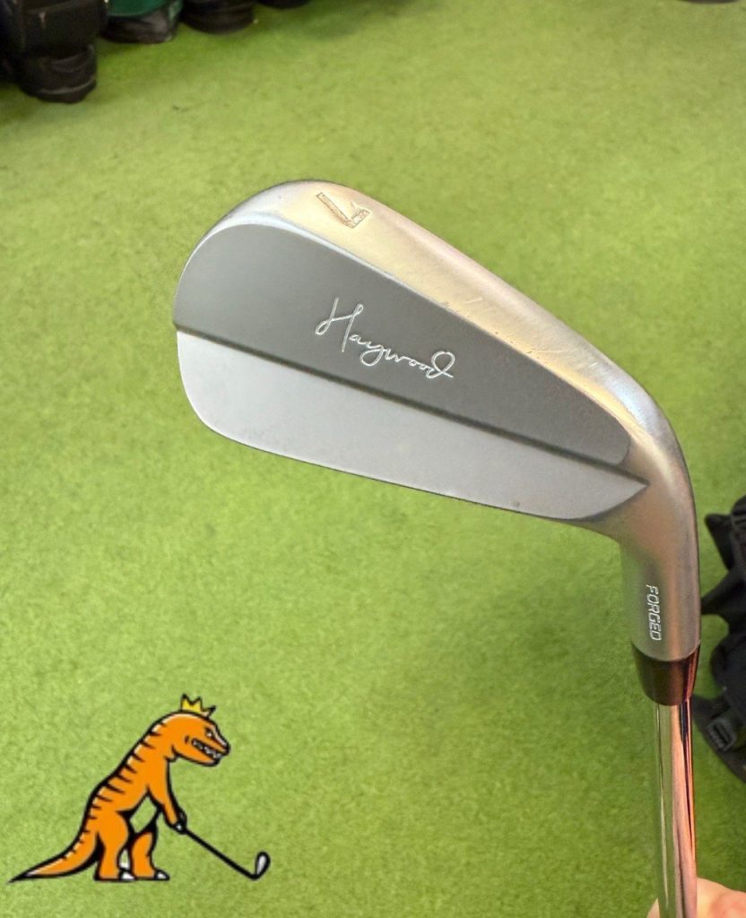 Haywood Golf 7 Iron NS Pro Tour 120 X Flex Right Handed