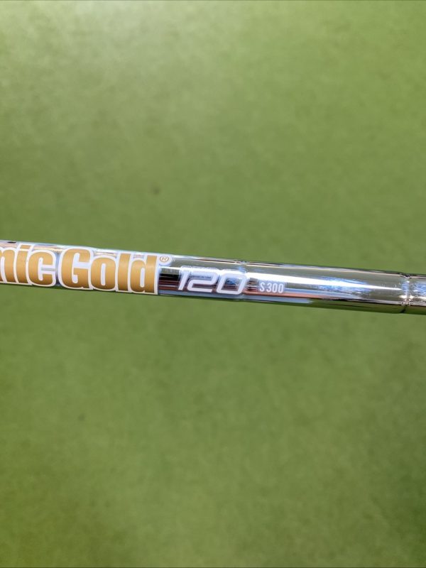 True Temper Dynamic Gold Iron Set Shafts 120g S300 Steel - Image 8